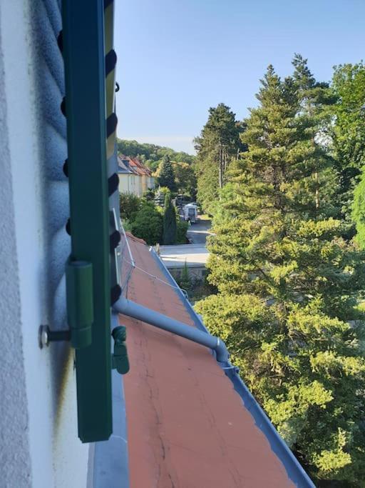 Private Room In Our Home With Free Vvo Ticket & Cats Pirna Exterior photo