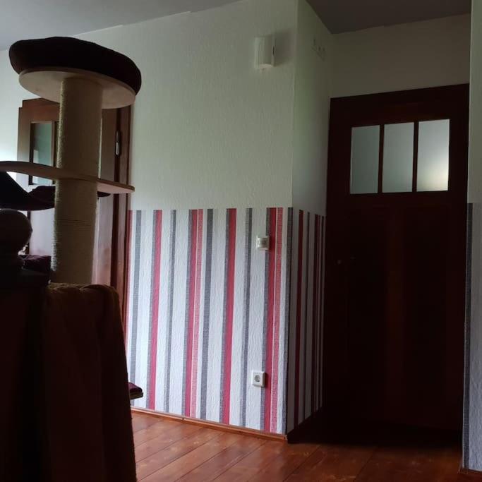 Private Room In Our Home With Free Vvo Ticket & Cats Pirna Exterior photo