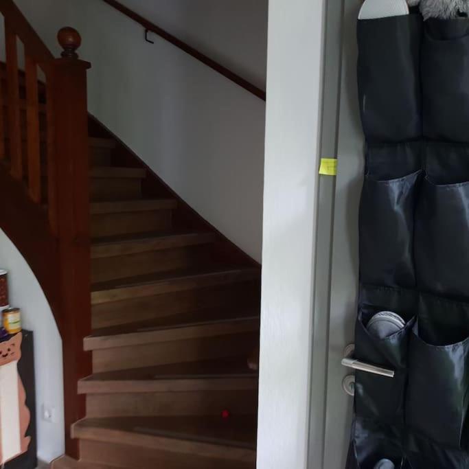 Private Room In Our Home With Free Vvo Ticket & Cats Pirna Exterior photo